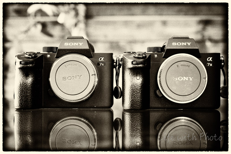SONY α7RⅢ ILCE-7RM3 ショット数80,173回 WW2464 SONY α7IIIとα7IIIR、どちらが幸せになれるのか？ | Life with Photo