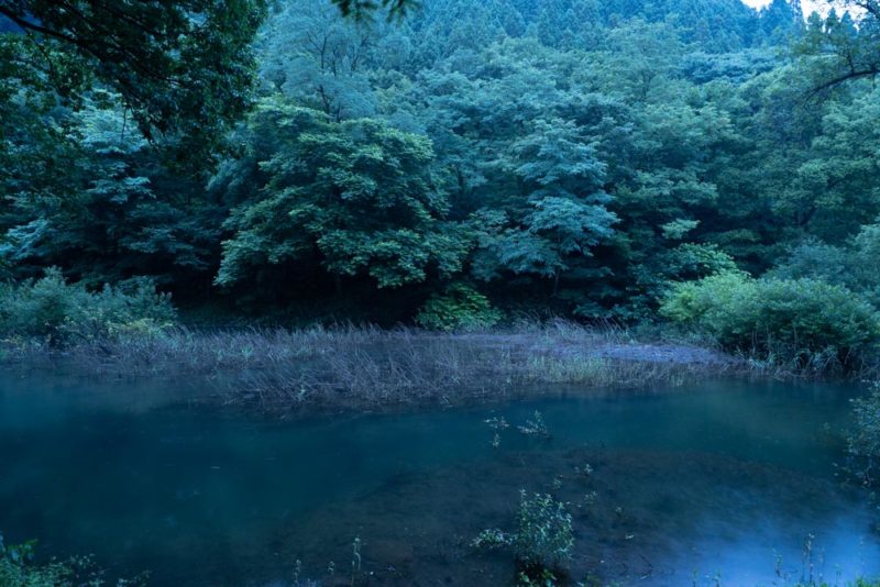 Lightroomとphotoshopの比較明合成で印象的なホタル 星景写真作成 Life With Photo