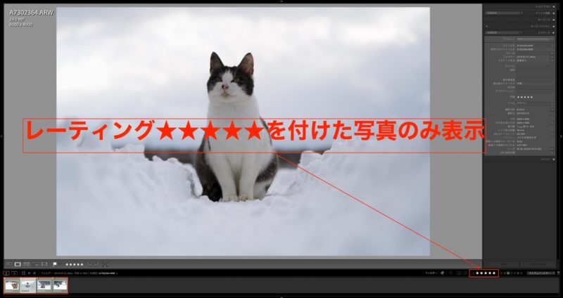 アドビ Lightroom 効率的な写真選択方法 採用フラグ カラーラベル レーティングの使い方 Life With Photo