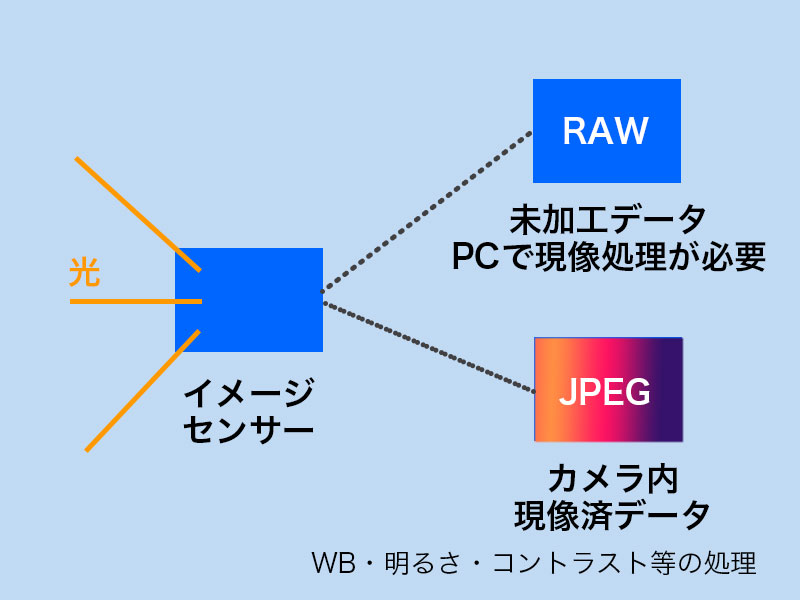 意味 raw raw 意味