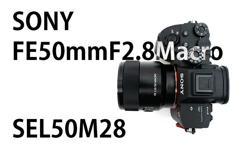 ソニー FE 50mm F2.8 Macro 使用感と作例 | Life with Photo
