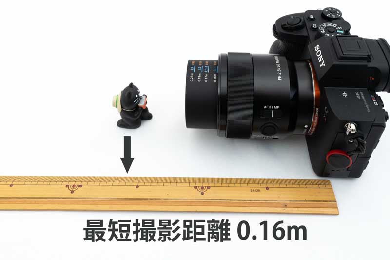 ソニー FE 50mm F2.8 Macro 使用感と作例 | Life with Photo