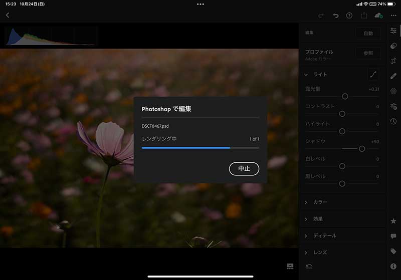 Lightroom iPad Photoshop Life with Photo
