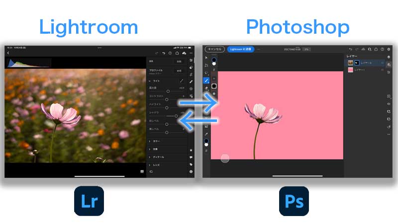 adobe photoshop lightroom 3   ／  ライトルーム