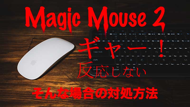 Mac Magic Mouse 2の反応が悪い！故障と思いきや原因は・・・ | Life with Photo